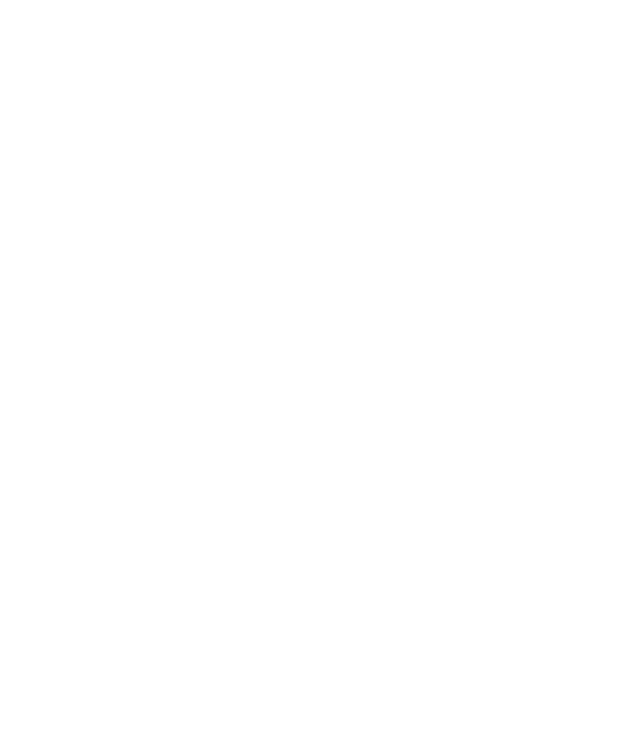 AVHS